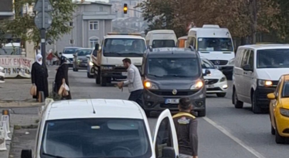 Yavru kediyi kurtarabilmek için akan trafiği durdurdu