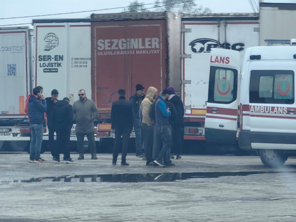 Park halindeki TIR'ında ölü bulundu