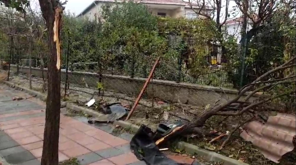 İlde kuvvetli rüzgar TIR'ı devirdi, ağaçları kökünden söktü