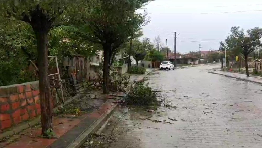 İlde kuvvetli rüzgar TIR'ı devirdi, ağaçları kökünden söktü