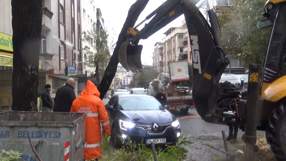 Ağaç otomobilin üzerine devrildi