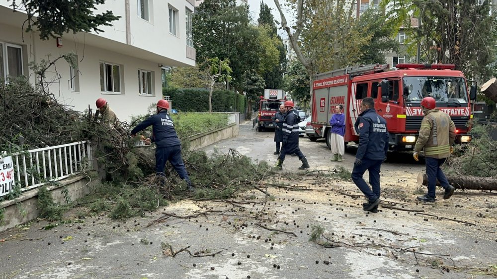 Ağaç binanın üzerine devrildi