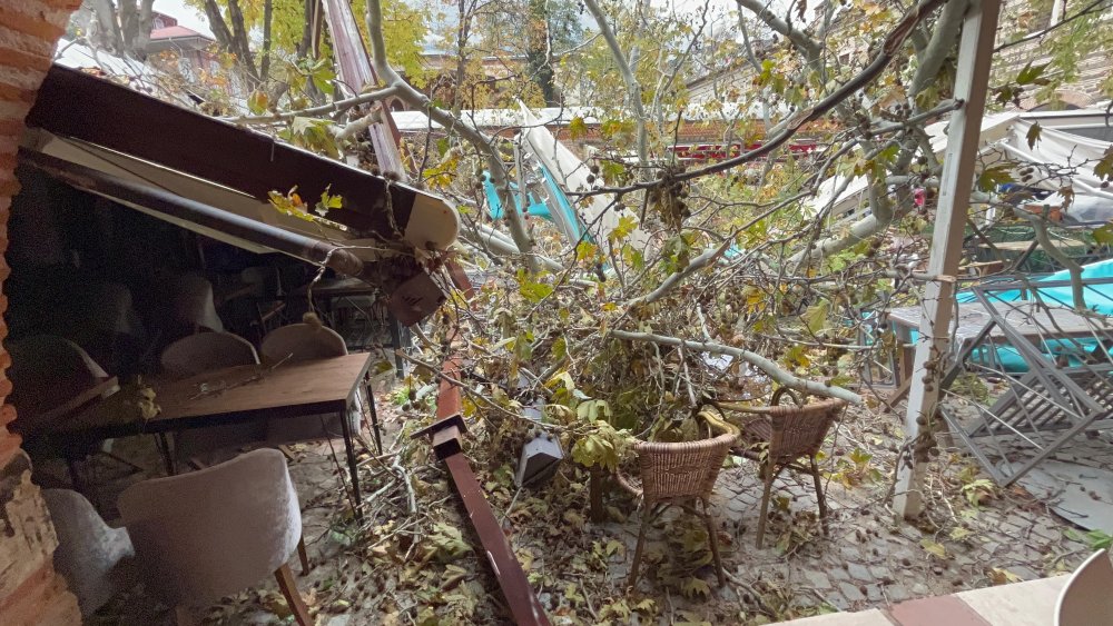 Tarihi handaki 250 yıllık çınar ağacı devrildi