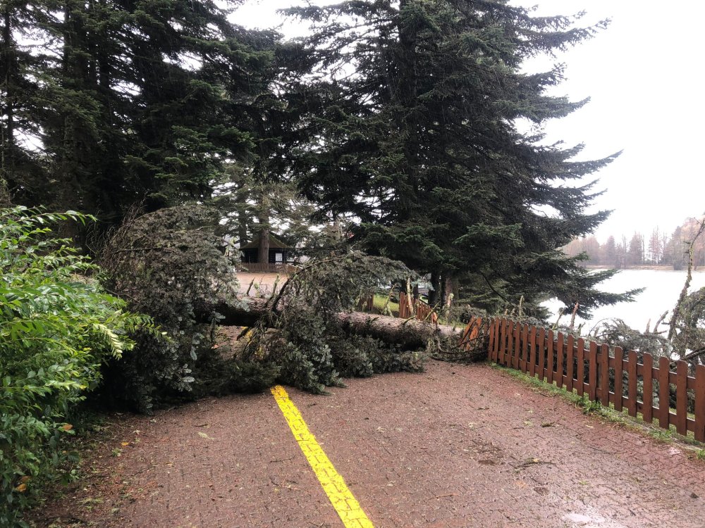 Gölcük Tabiat Parkı yeniden ziyarete açıldı