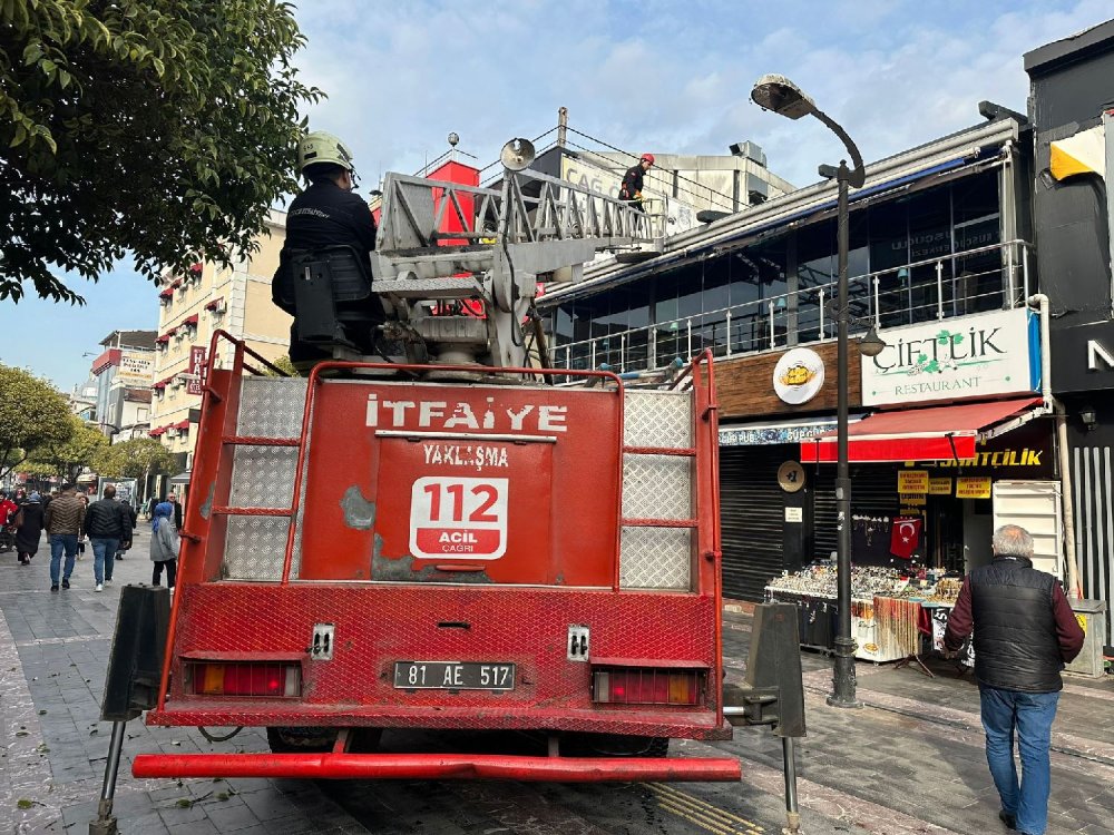 Çatıdaki yavru kediler itfaiye ekipleri tarafından kurtardı