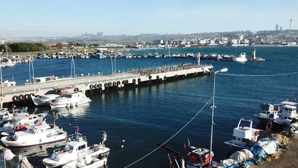 Büyükçekmece'nin "maskotu" ölü bulundu