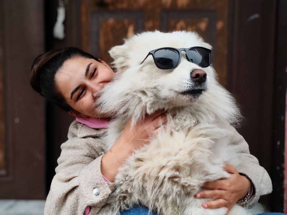 Çatıya çıkan köpek itfaiyeyi yanına yaklaştırmadı, sahibi gelince indi