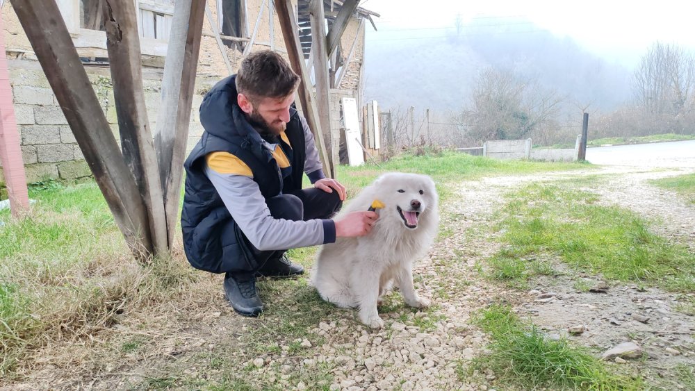 Çatıya çıkan köpek itfaiyeyi yanına yaklaştırmadı, sahibi gelince indi