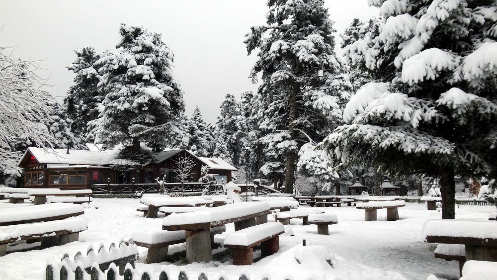 Gölcük Tabiat Parkı, karla kaplandı