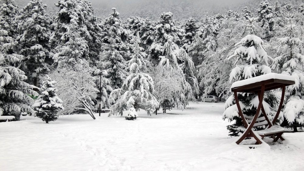 Gölcük Tabiat Parkı, karla kaplandı