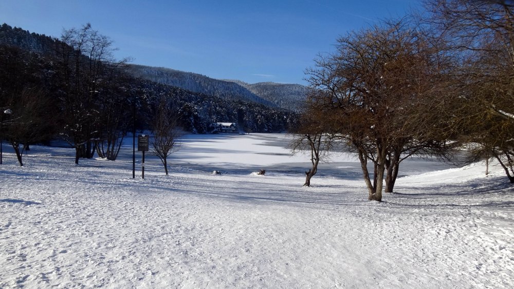 Gölcük Tabiat Parkı'ndaki gölün yüzeyi buz tuttu