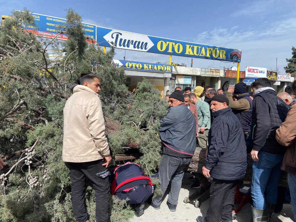 Belediye başkan adayı ve oğlu devrilen ağacın altında kaldı