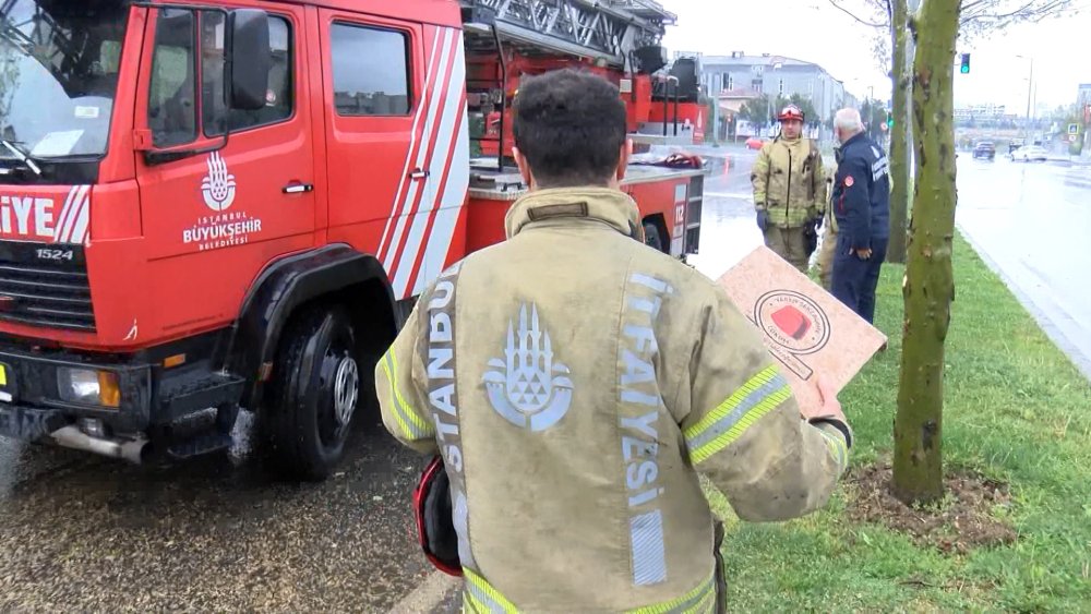 Ağaca çarpan sürücü karga yavrularını yere düşürdü