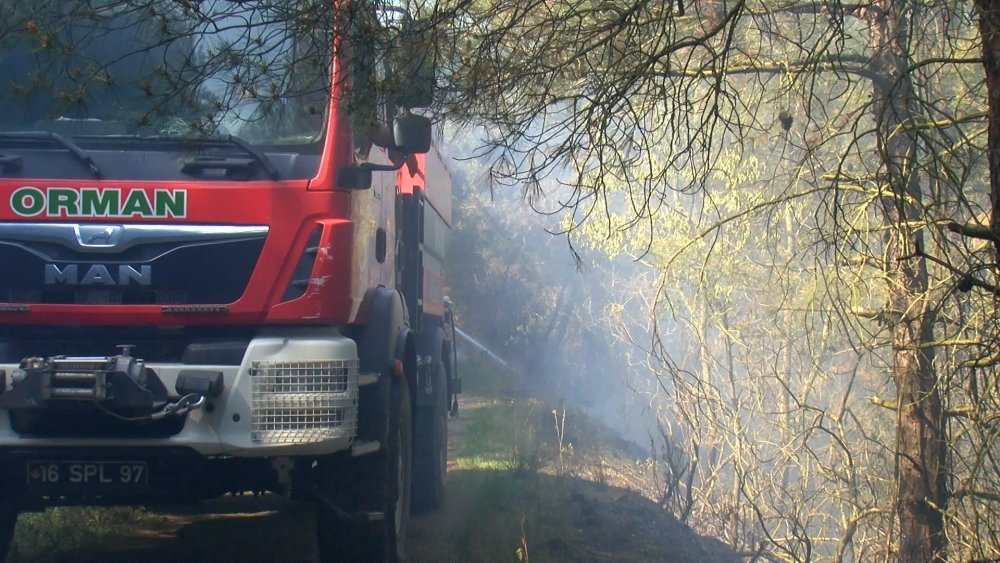 Bursa'da orman yangını: Ekipler bölgede