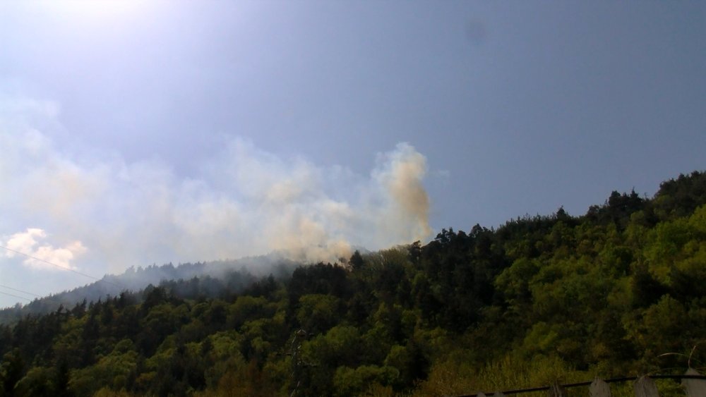 Bursa'da orman yangını: Ekipler bölgede