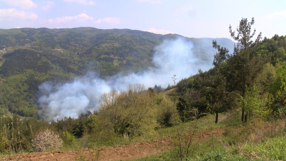 Bursa'da orman yangını: Ekipler bölgede