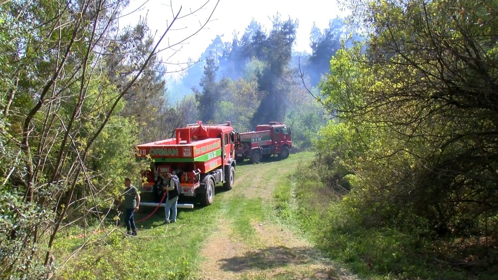 Bursa'da orman yangını: Ekipler bölgede