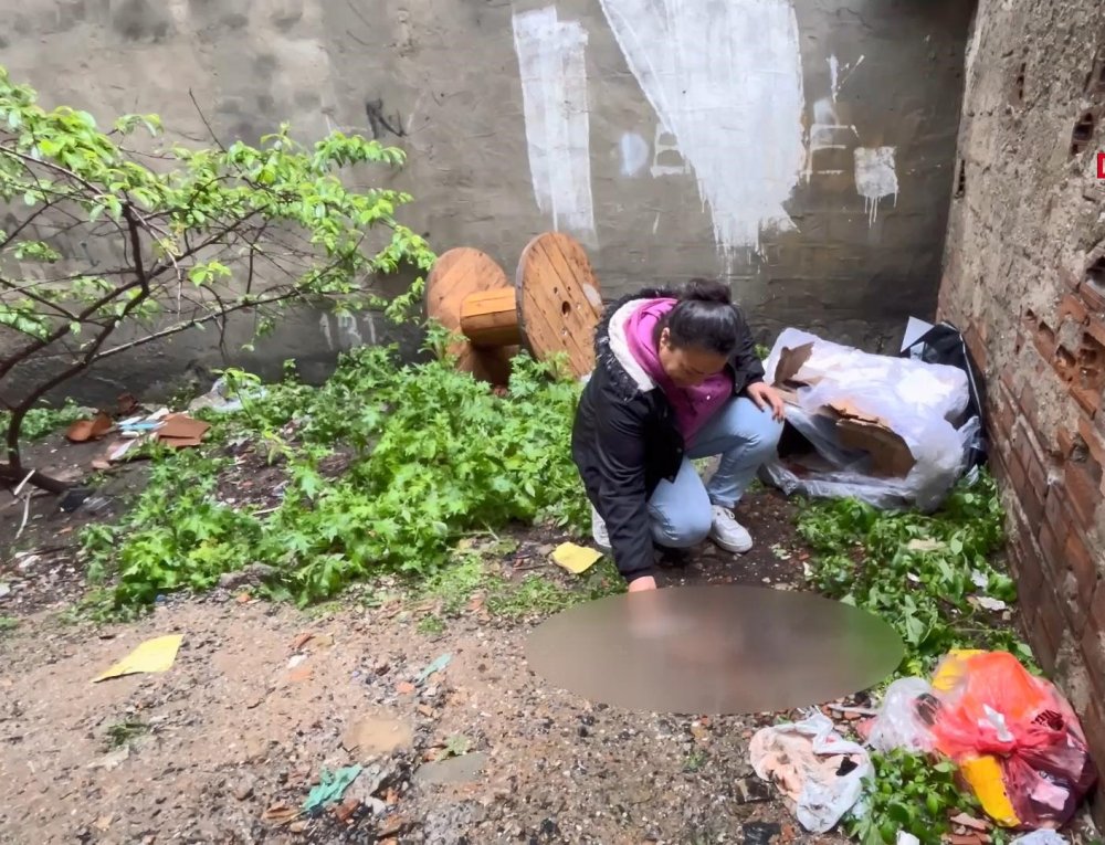 Mahallelinin baktığı 3 yavru kedi öldürüldü!