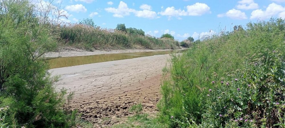 Büyük Menderes'te kuraklık alarmı: Su kıtlığı kapıda