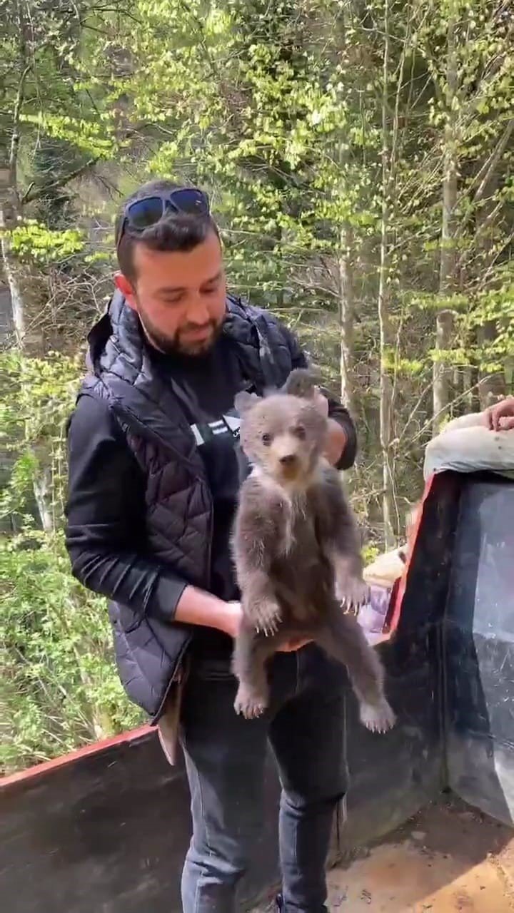 Sokakta buldukları yavru ayıyı besleyip ormana saldılar