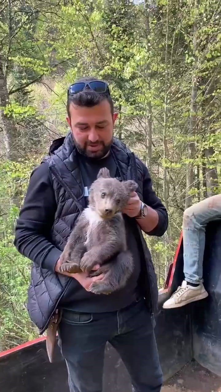 Sokakta buldukları yavru ayıyı besleyip ormana saldılar