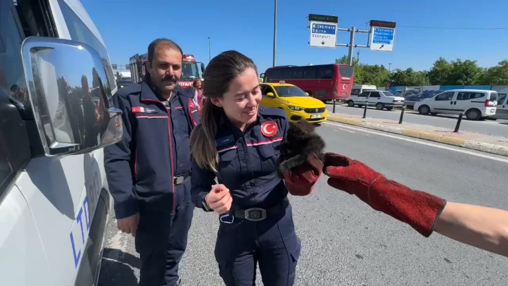 Servis minibüsünde kedi kurtarma operasyonu