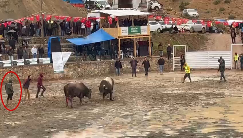 Boğa güreşi festivalinde facia: Rakibinden kaçan bir tonluk boğa hakemin üzerinden geçti