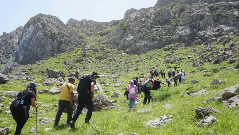 20 günlük ömrü olan çiçeği görmek için kilometrelerce yürüdüler