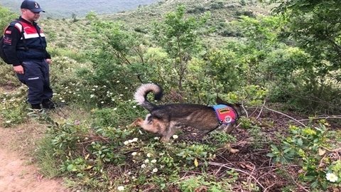 Kafatası kemikleri bulunmuştu: Korhan Berzeg'in babasıyla benzer sonu paylaştığı ortaya çıktı