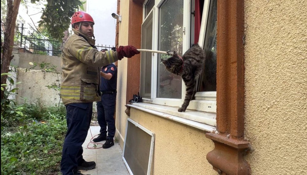 Pencerede sıkışan kediyi itfaiye kurtardı