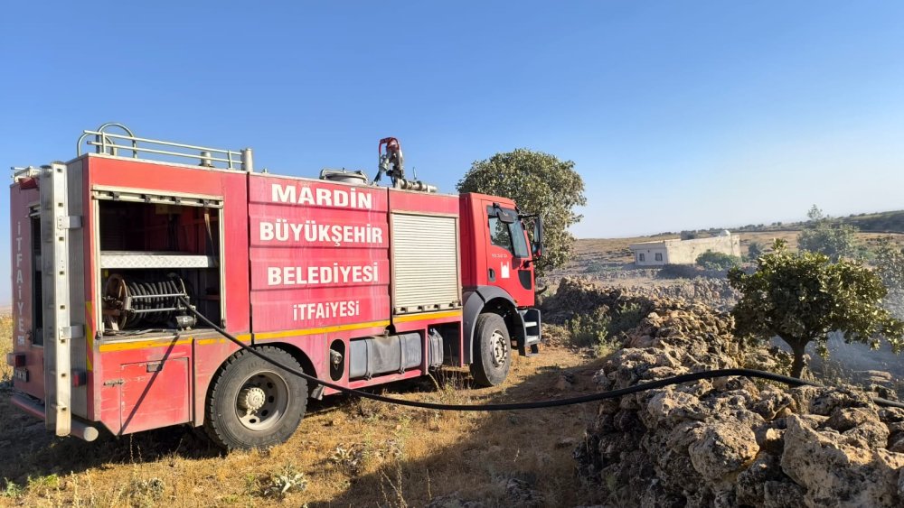 Mardin'de 9 ayrı noktada yangın: 800 dönüm ekili arazi zarar gördü