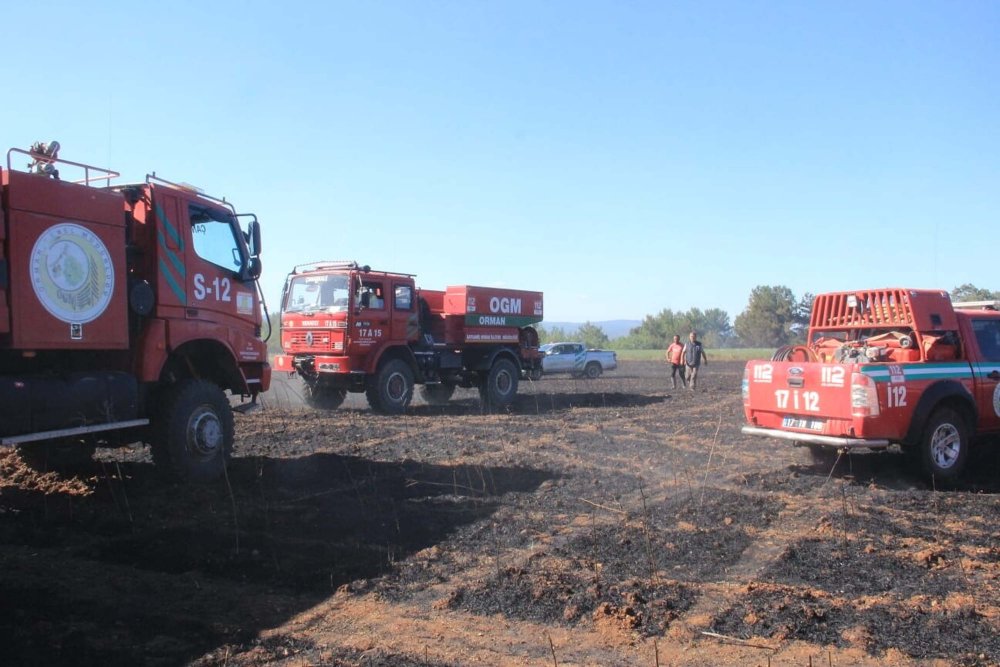 Çanakkale'de 100 dönümlük tarım arazisi küle döndü