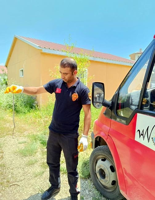 Çamaşır makinesinden yılan çıktı!