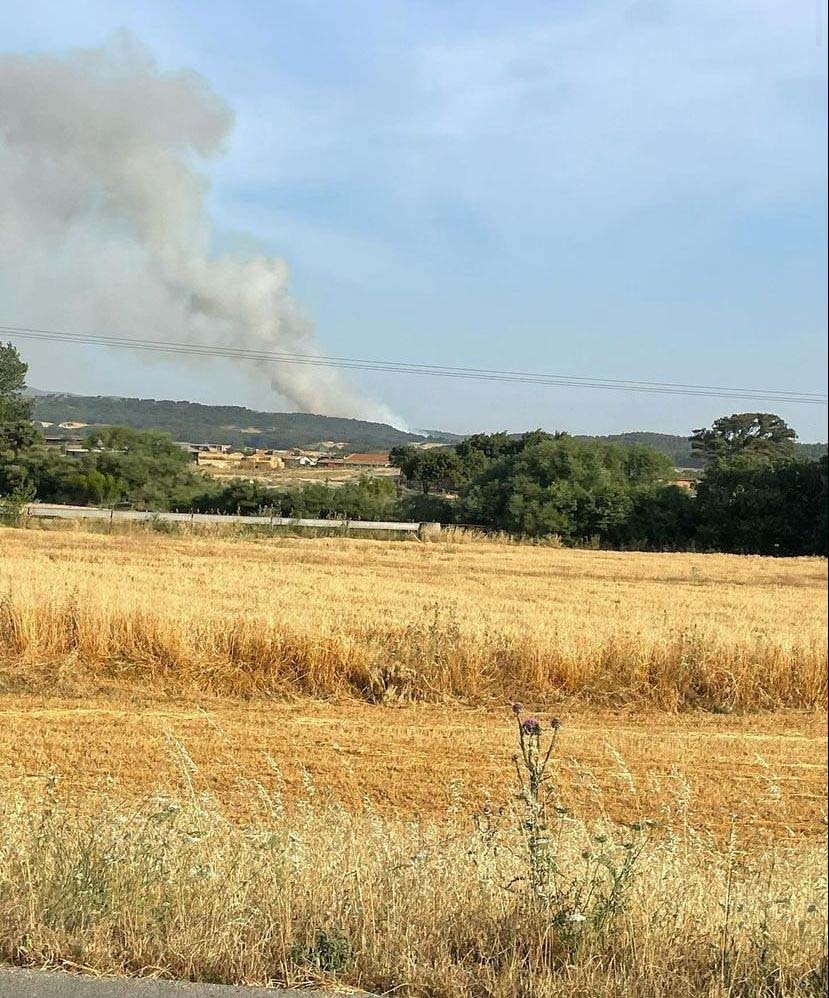 Çanakkale'de orman yangını