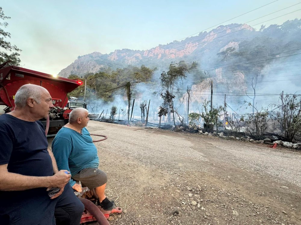 Yeryüzünün en iyi hosteli seçilmişti: Olimpos'taki ünlü ağaç evleri ikinci kez yandı