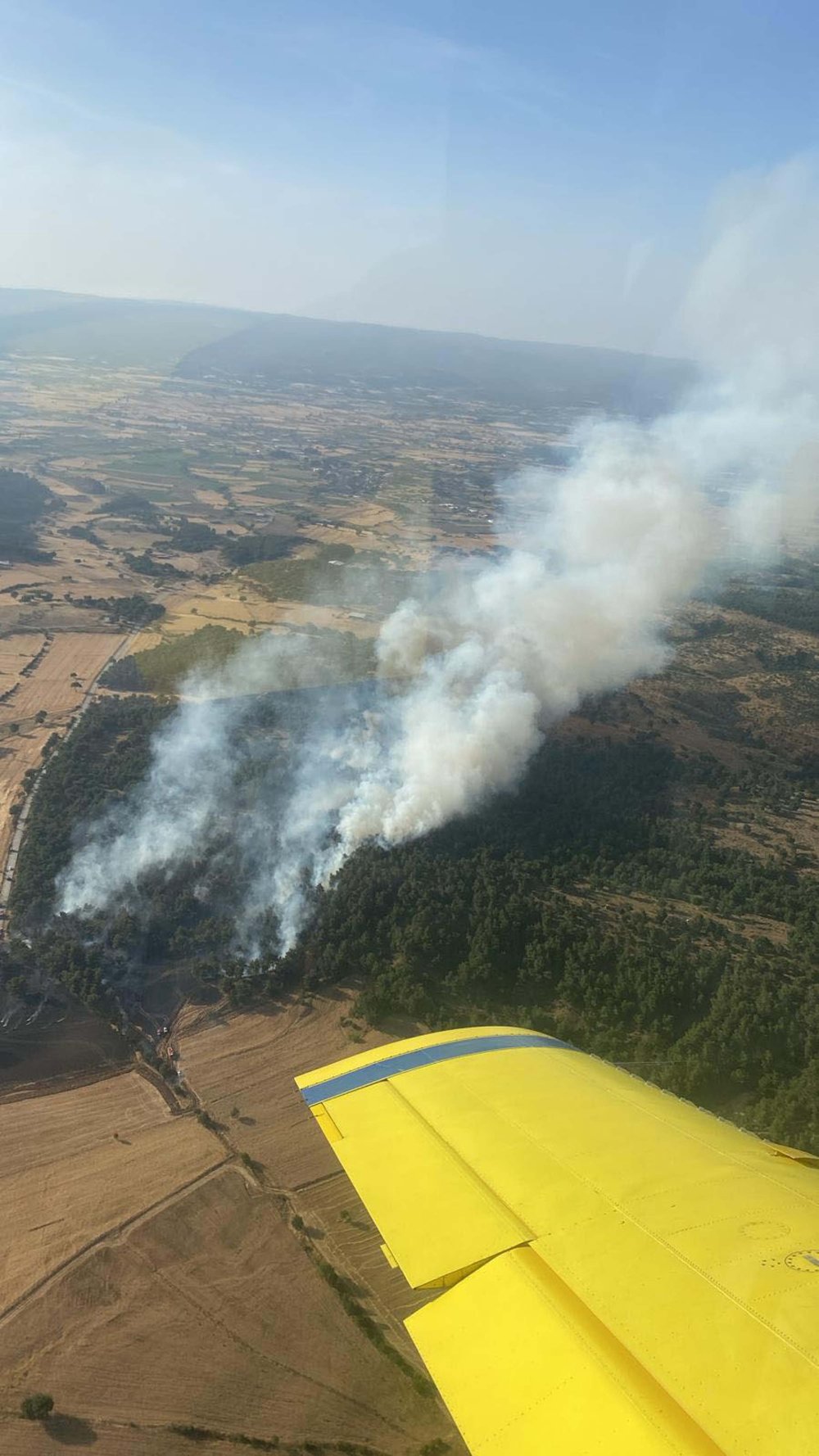 Çanakkale'deki orman yangınında 5 hektar alan zarar gördü