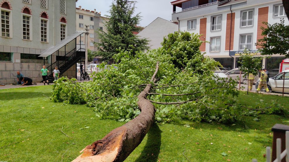 Bursa'da lodos etkili oldu: Bir kişi kırılan ağaç dalının altında kaldı