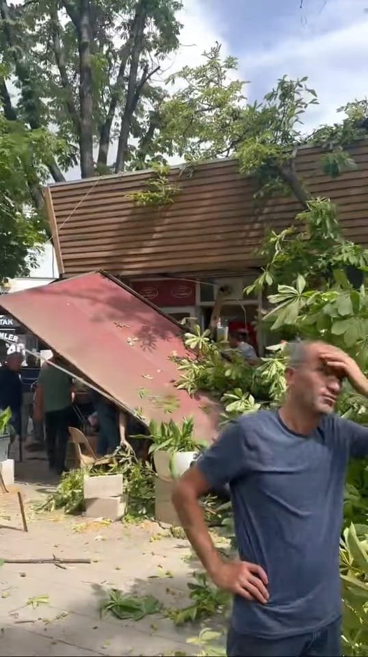 Lodos nedeniyle ikiye bölünen çınar ağacı, tarihi hanın üzerine devrildi