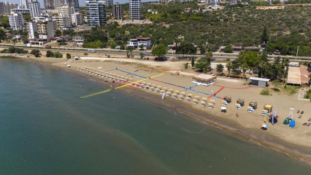 Yeşil deniz kaplumbağaları geldi, denizanaları sahilleri terk etti