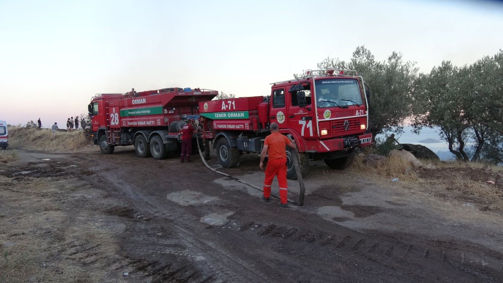 İzmir'de otluk alanda yangın: Rüzgarın etkisiyle büyüdü, ekiplerin müdahalesi sürüyor