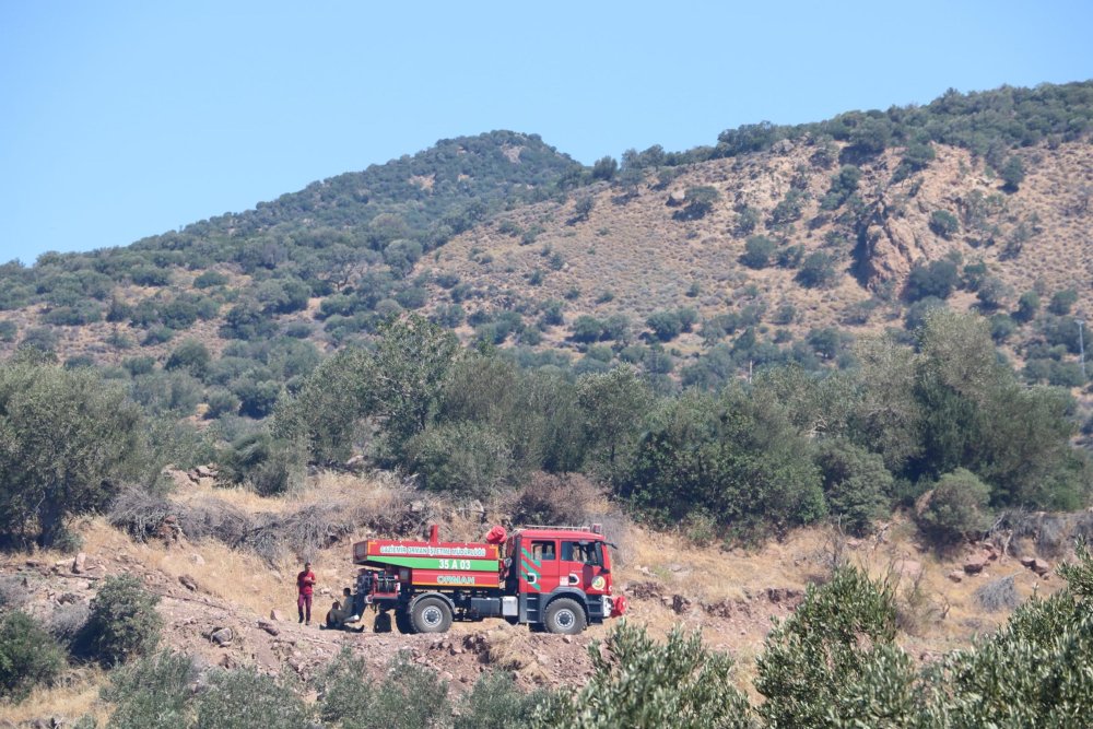 İzmir’de zeytinliğe sıçrayan yangın kontrol altına alındı