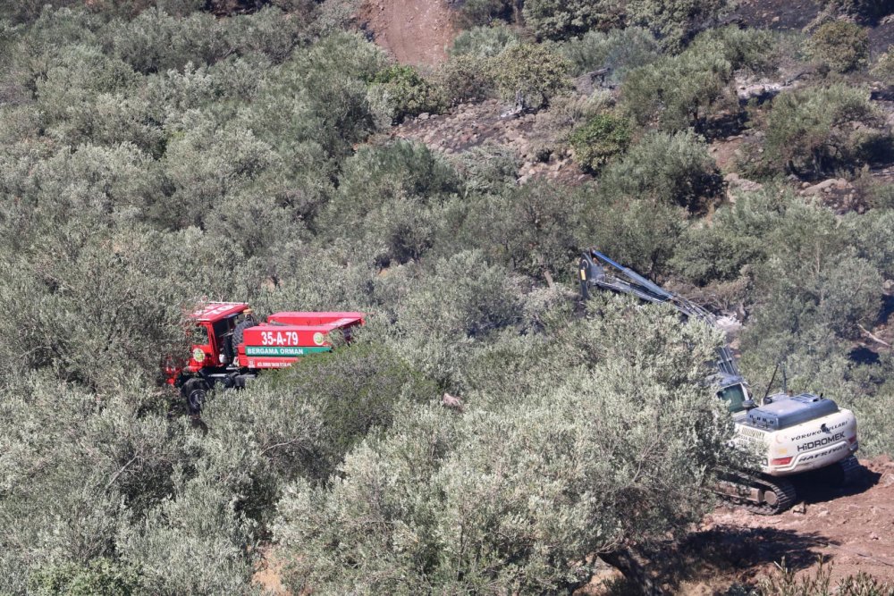 İzmir’de zeytinliğe sıçrayan yangın kontrol altına alındı