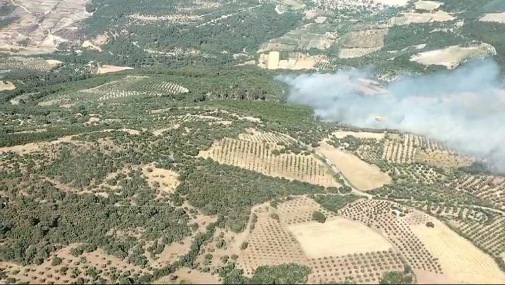 Bergama'da yangın çıktı! Havadan ve karadan müdahale başlatıldı