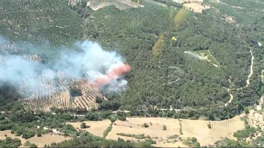 Bergama'da yangın çıktı! Havadan ve karadan müdahale başlatıldı