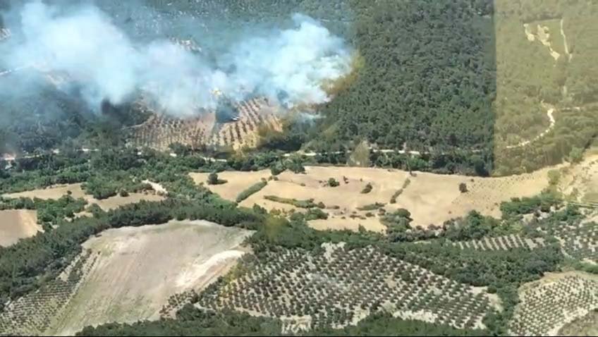 Bergama'da yangın çıktı! Havadan ve karadan müdahale başlatıldı