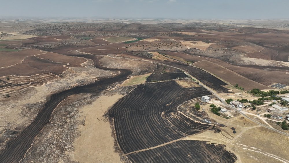 Diyarbakır-Mardin sınırındaki yangında ölü sayısı arttı!