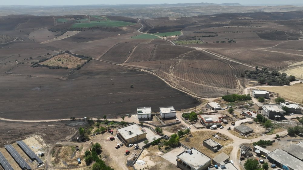 Diyarbakır-Mardin sınırındaki yangında ölü sayısı arttı!