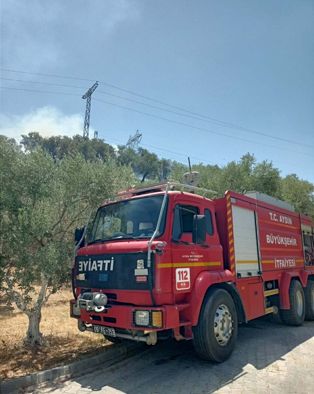 Zeytinlik yangınında 30 dönüm alan küle döndü