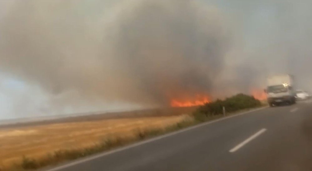 Tekirdağ'da 180 dönüm ekili buğday yandı!