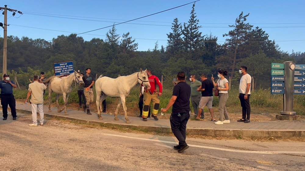 Bursa'da yangın kampüse sıçradı! Yurtlar boşaltılıyor...